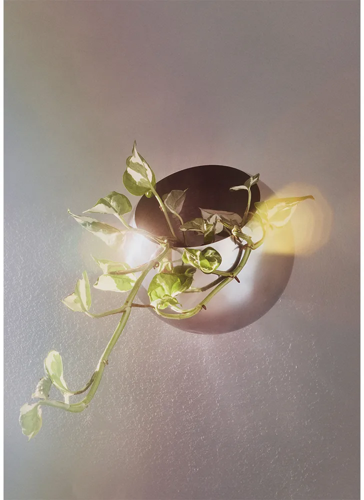Globe flower pot vägg Ø17 cm, Silver AYTM