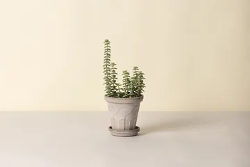 Fleur pot with saucer, 2 pieces - Grey, Ø14 cm - Bergs Potter