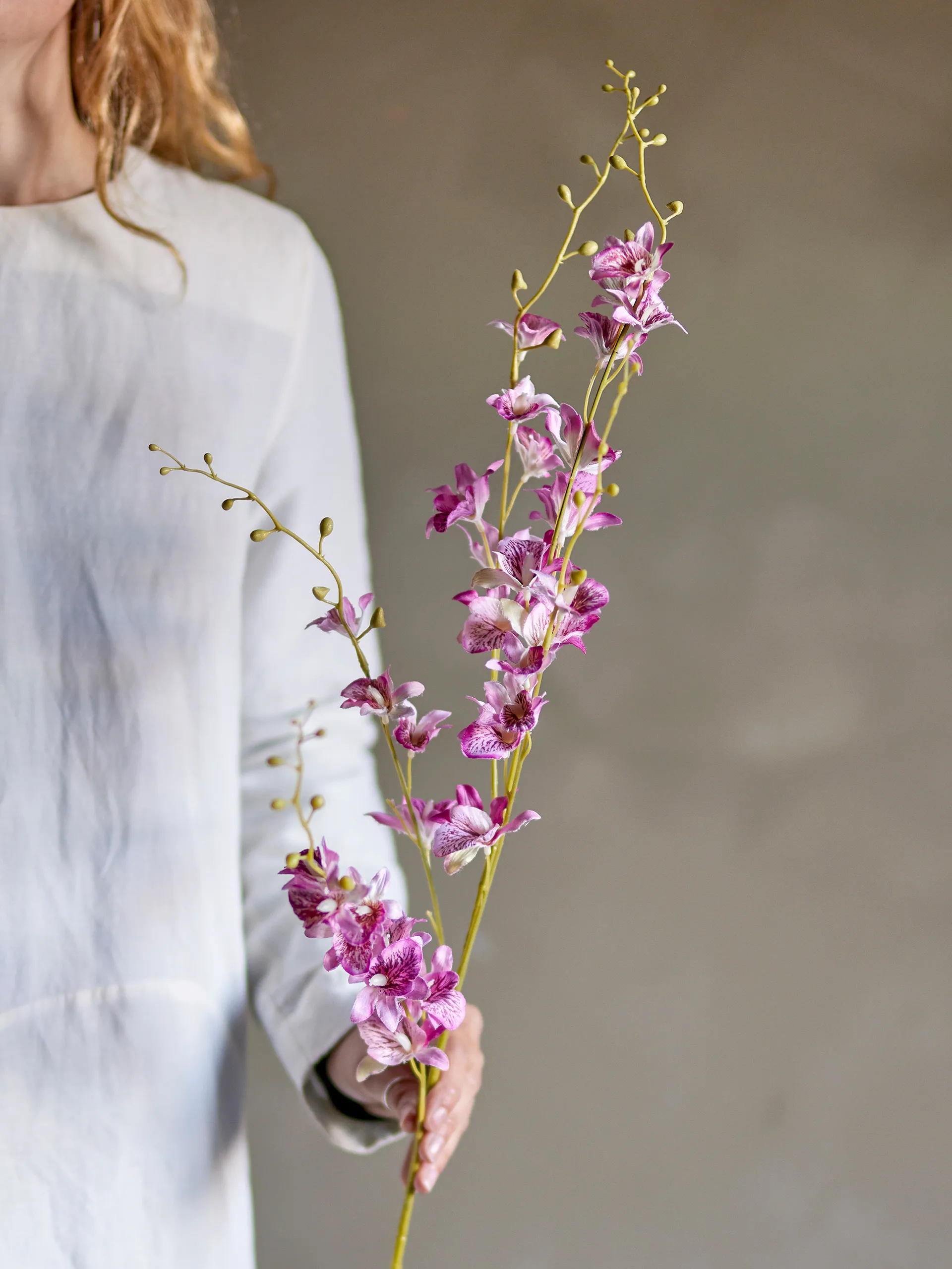 Stem orchid wax flower, Pink Bloomingville