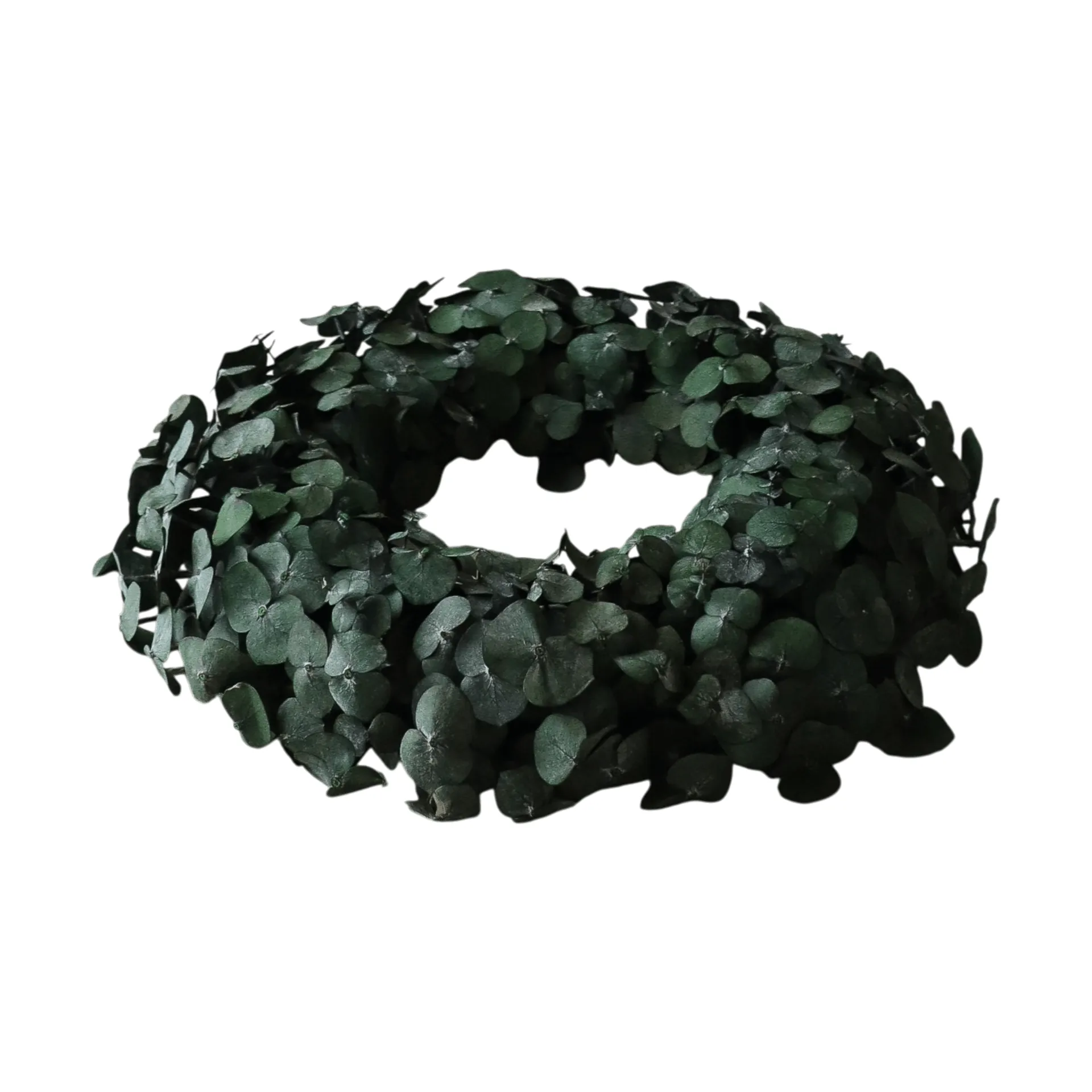 Eucalyptus Wreath wreath, Green, Ø40 cm Botané