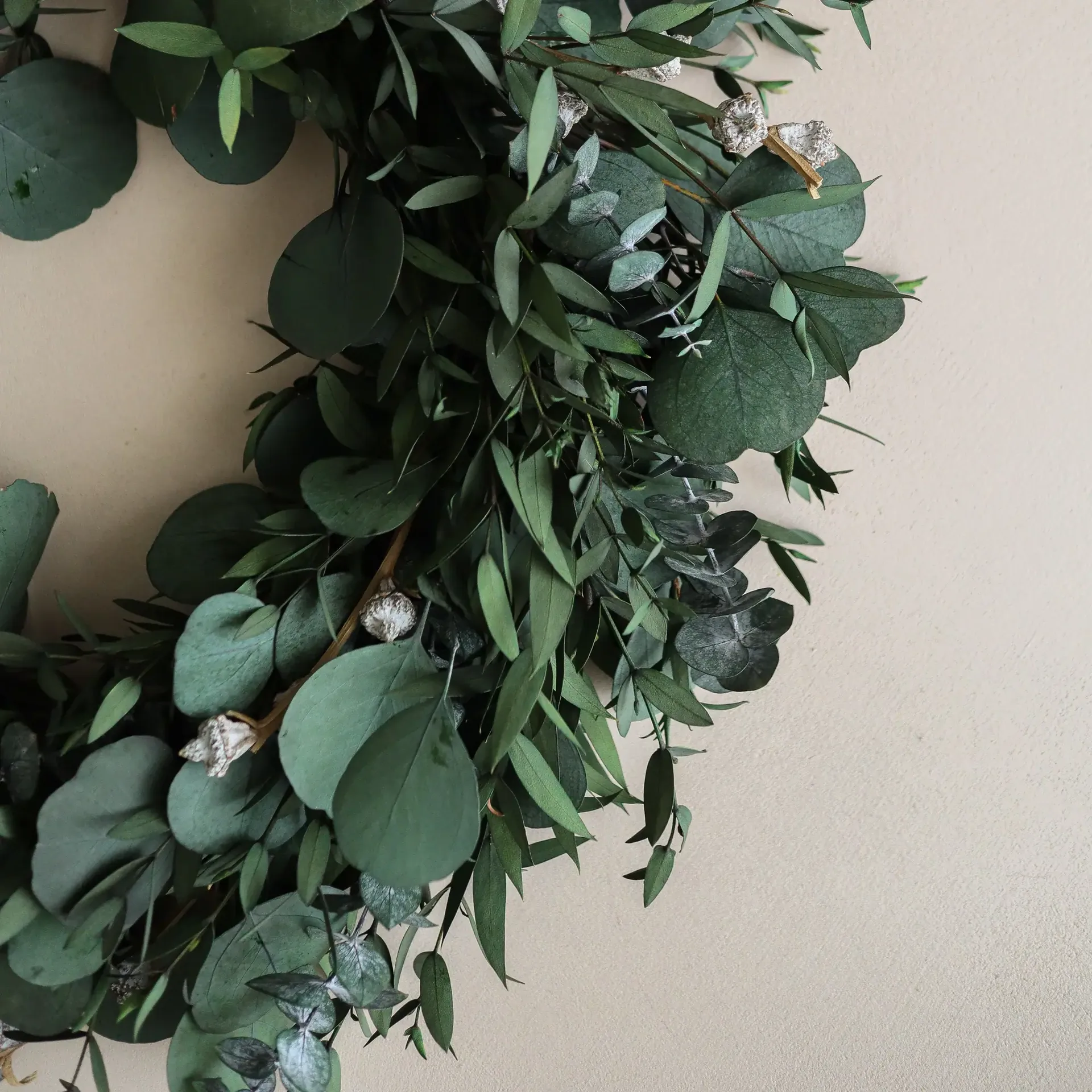 Eucalyptus Wreath wreath, Green mixed, Ø40 cm Botané