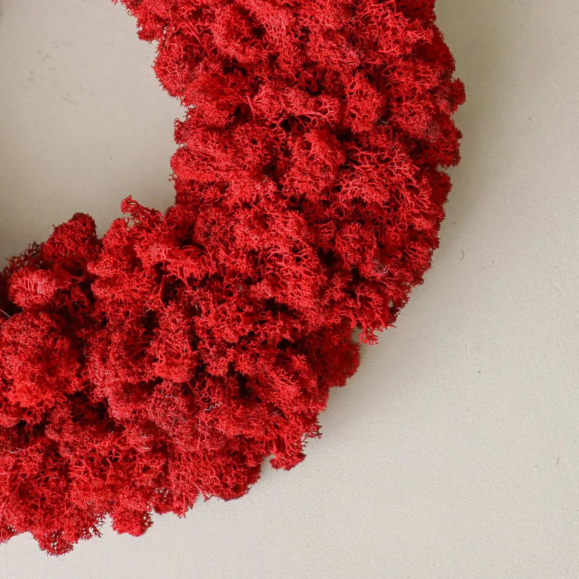 Moss Wreath wreath, Red, Ø40 cm Botané