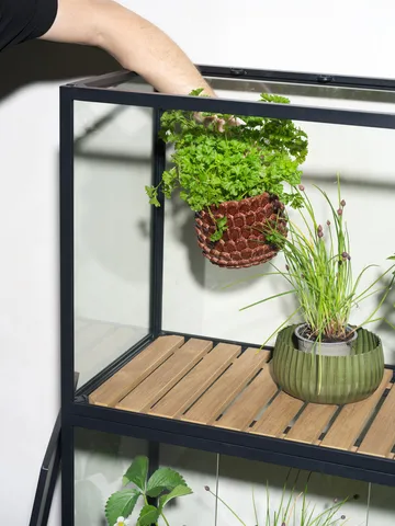 Grower Greens plant cabinet - Black, 81x137 cm - Brafab