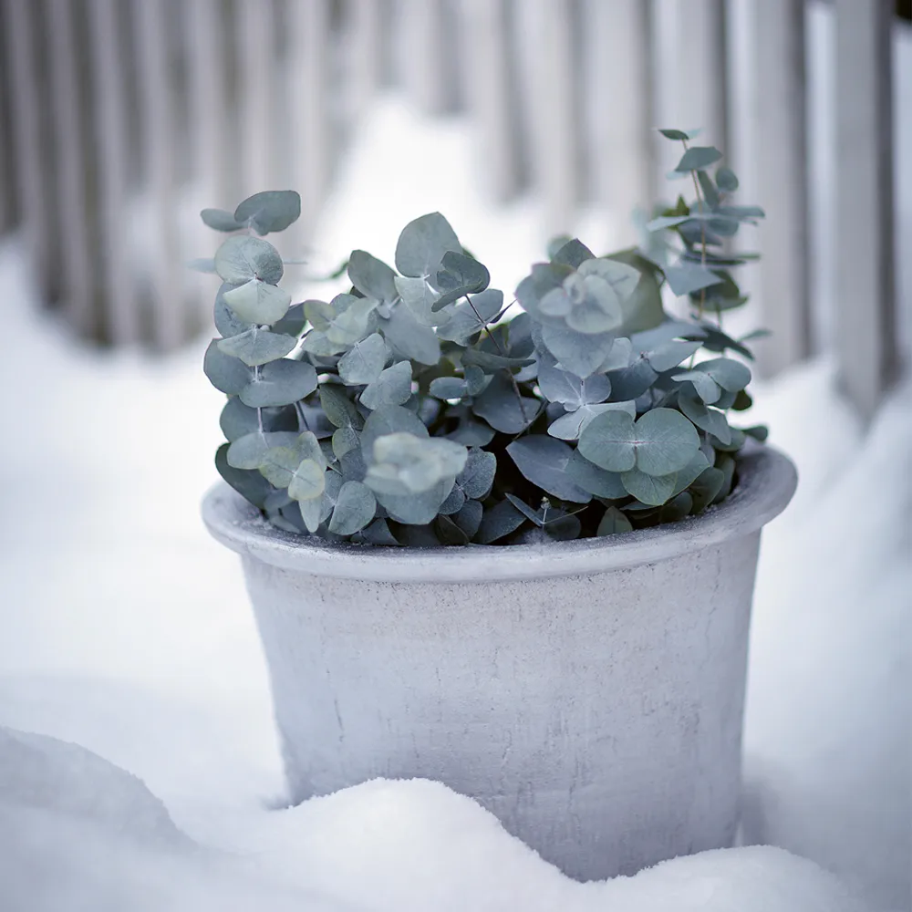 Cilla plant pot Ø37 cm, Aluminum Byarums bruk