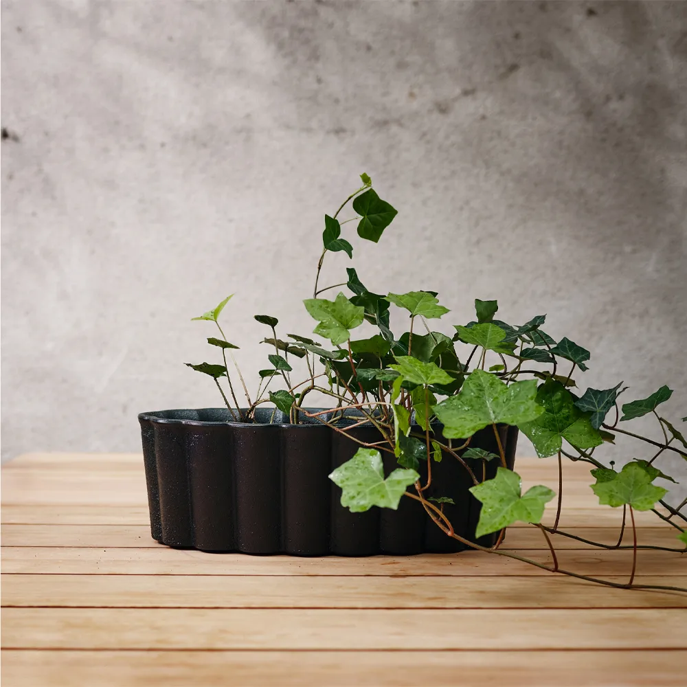 Palissad plant pot, Black Byarums bruk
