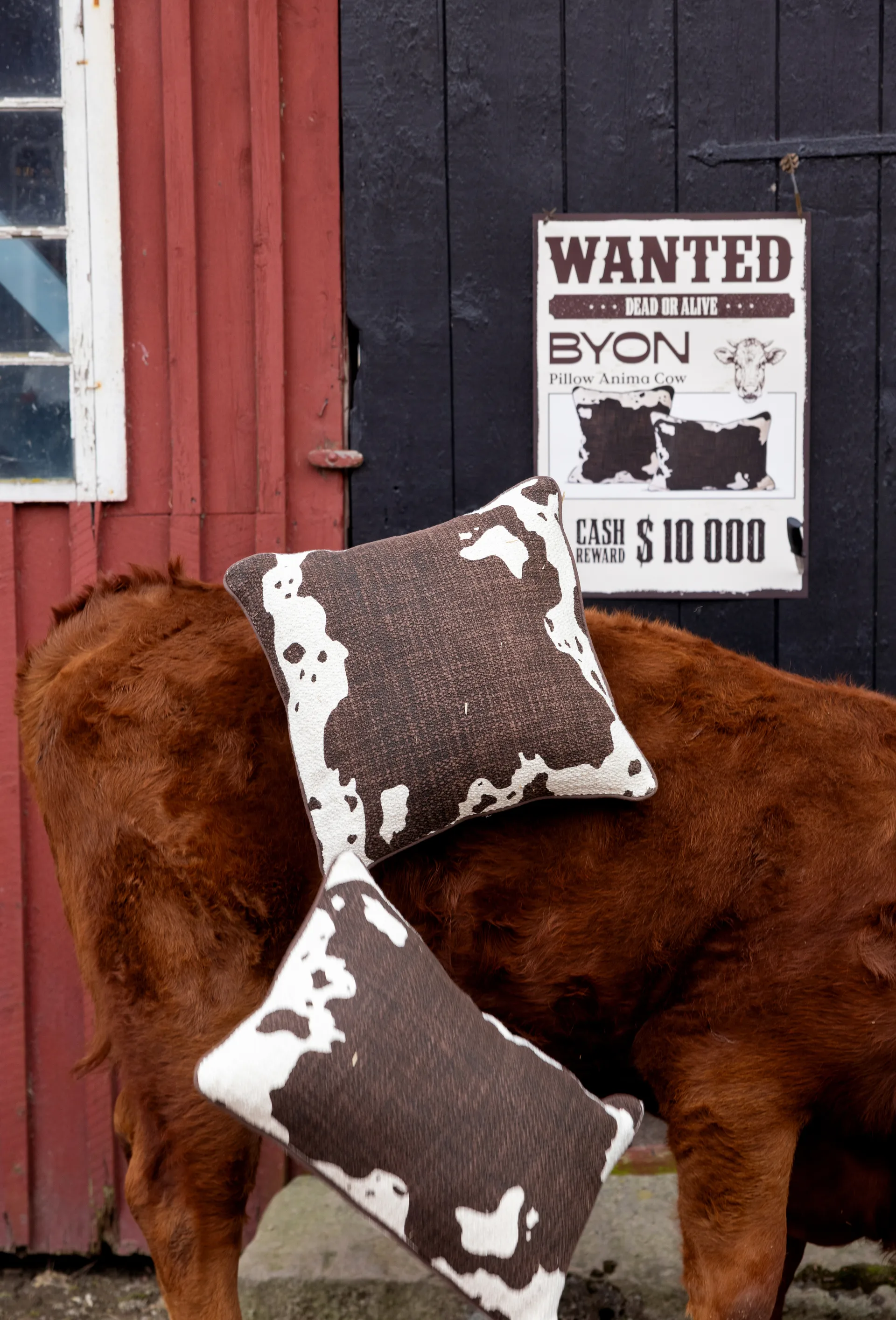 Anima pillow L 40x60 cm, Cow Byon