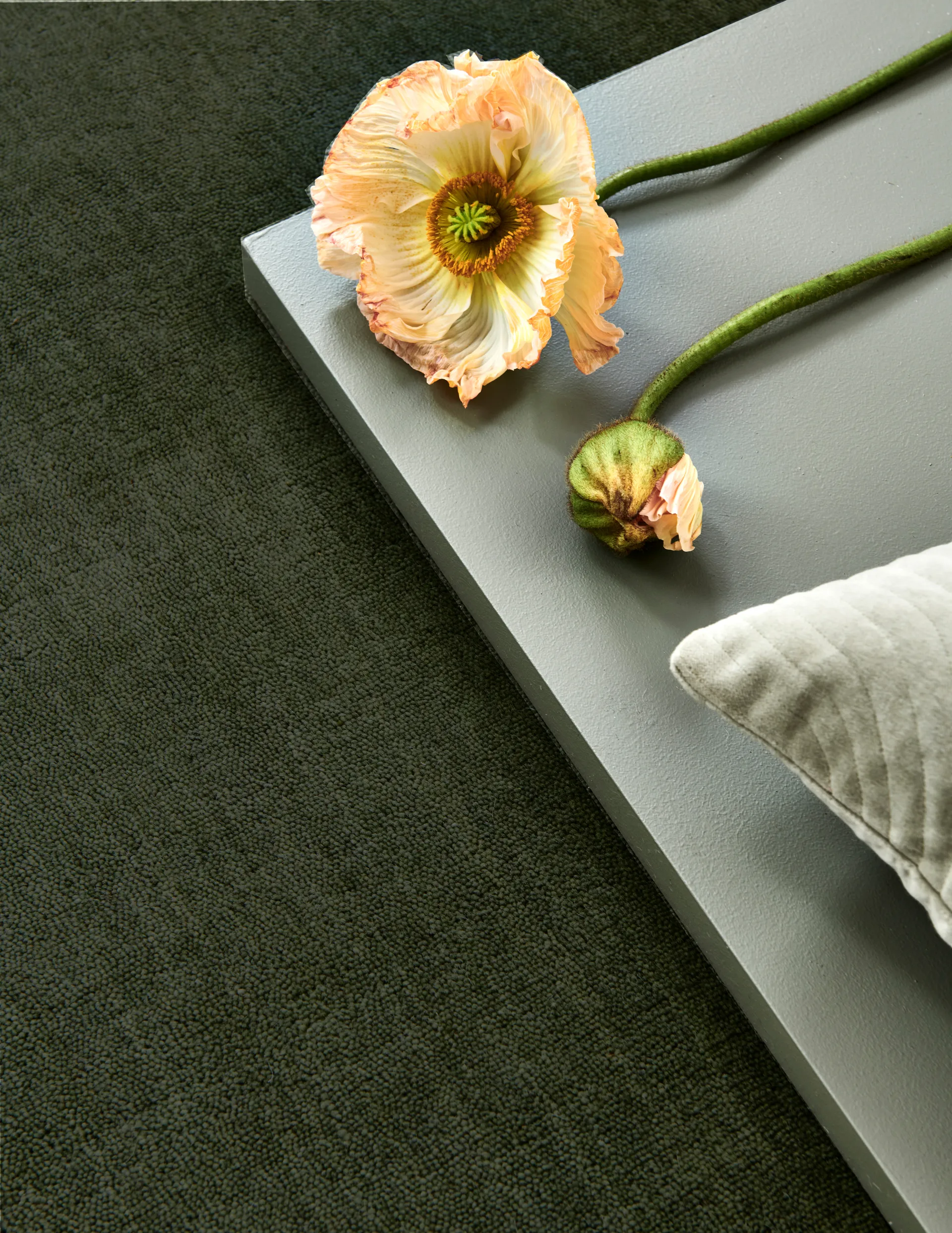 Solid rug, Green, 250x350 cm Classic Collection