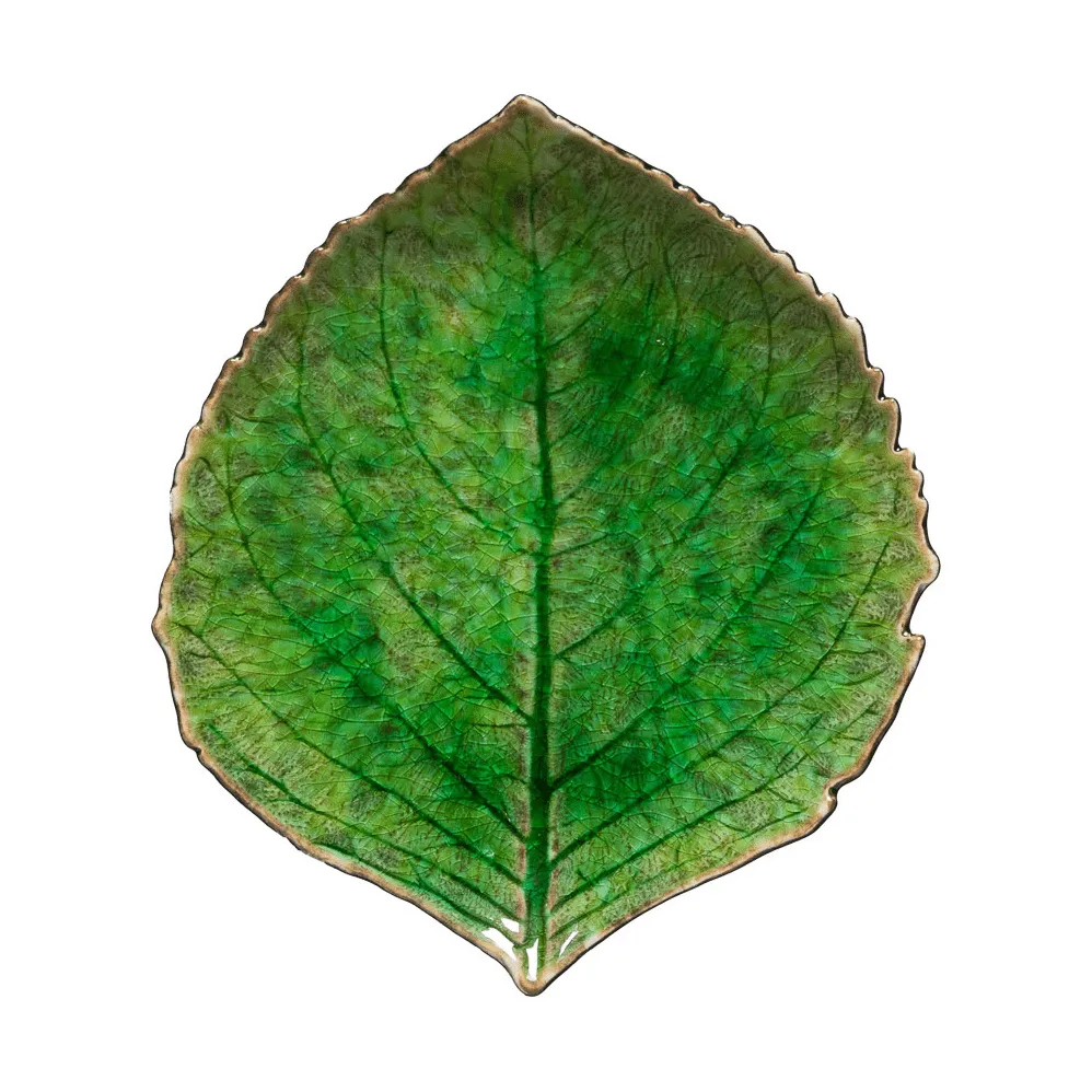 Riviera Hydrangea dish, Tomato, 17 cm Costa Nova