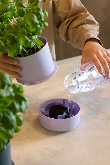 Billund self-watering herb pot - Cumin - Crushgrind