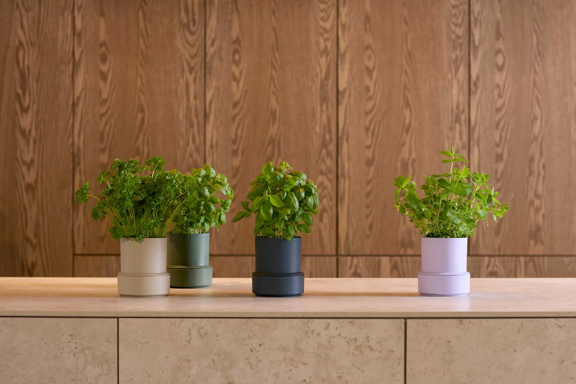 Billund self-watering herb pot, Cumin Crushgrind