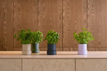 Billund self-watering herb pot - Cumin - Crushgrind
