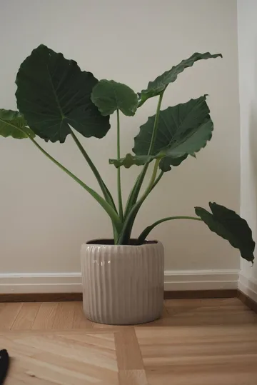 Ease pot - Shiny mole, Ø30x28 cm - DBKD