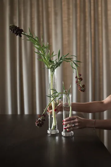 Tall vase - Clear, 25 cm - DBKD
