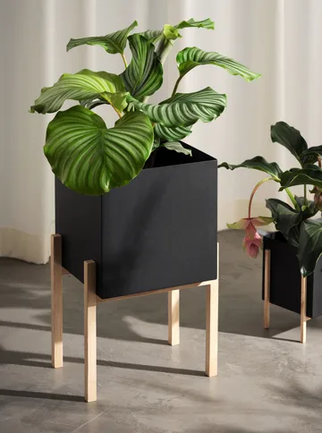 Botanic pedestal flower pot - Black-box - Design House Stockholm