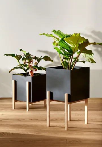 Botanic pedestal flower pot - Black-box - Design House Stockholm