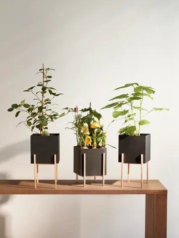 Botanic pedestal flower pot - Black-box - Design House Stockholm