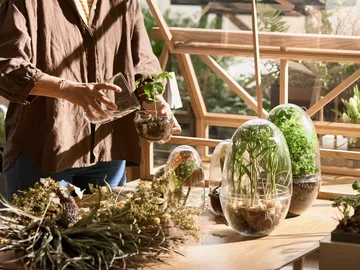 Grow greenhouse - x-large Ø20 cm - Design House Stockholm