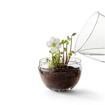 Grow greenhouse - x-large Ø20 cm - Design House Stockholm