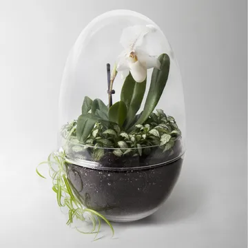 Grow greenhouse - x-large Ø20 cm - Design House Stockholm