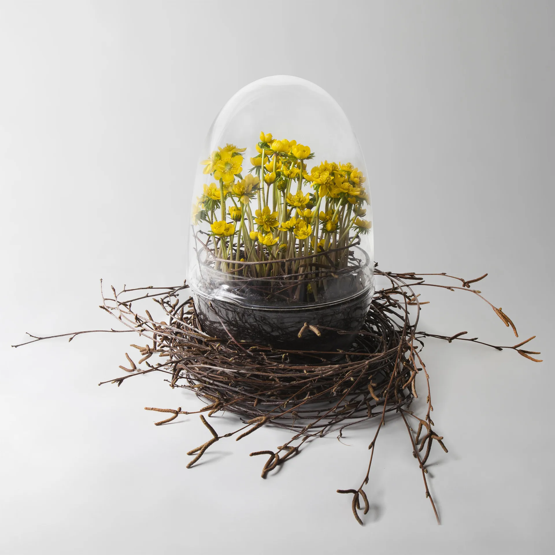 Grow greenhouse, x-large Ø20 cm Design House Stockholm