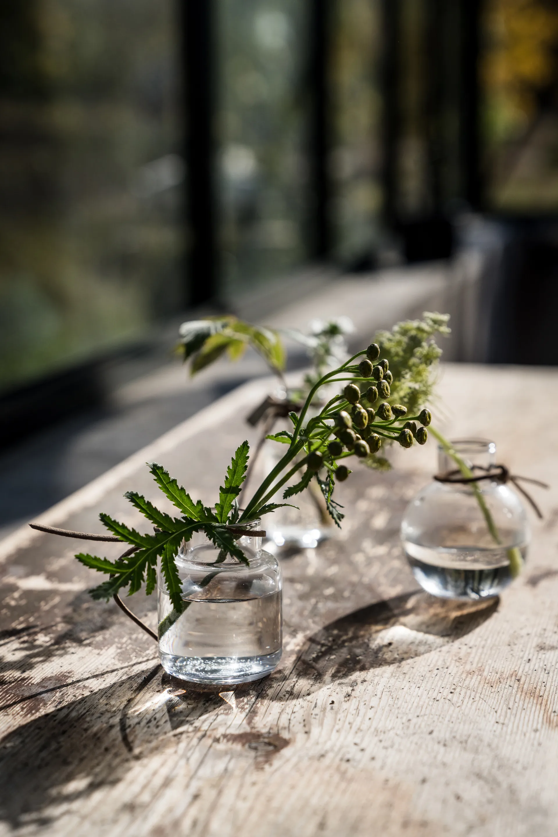 Ernst vase gift set 3 pieces, Clear ERNST