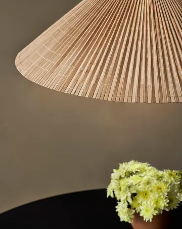 A1972 ceiling lamp Ø60 cm - Bambu-brass - GUBI