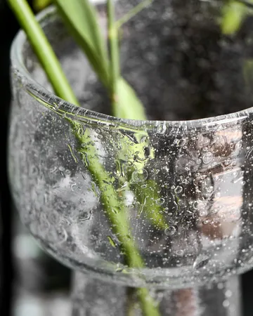 Tuur vase - Clear, 22.5 cm - House Doctor