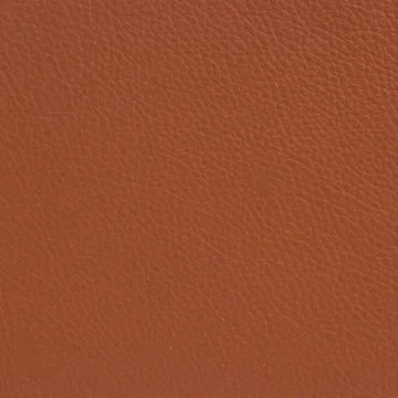 Sunny armchair with armrests - Leather Cognac–chrome frame - Lammhults