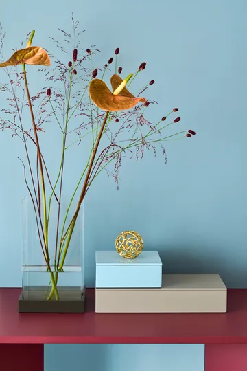 Lux lacquered storage box 38x19x7 cm - Fawn - Mojoo