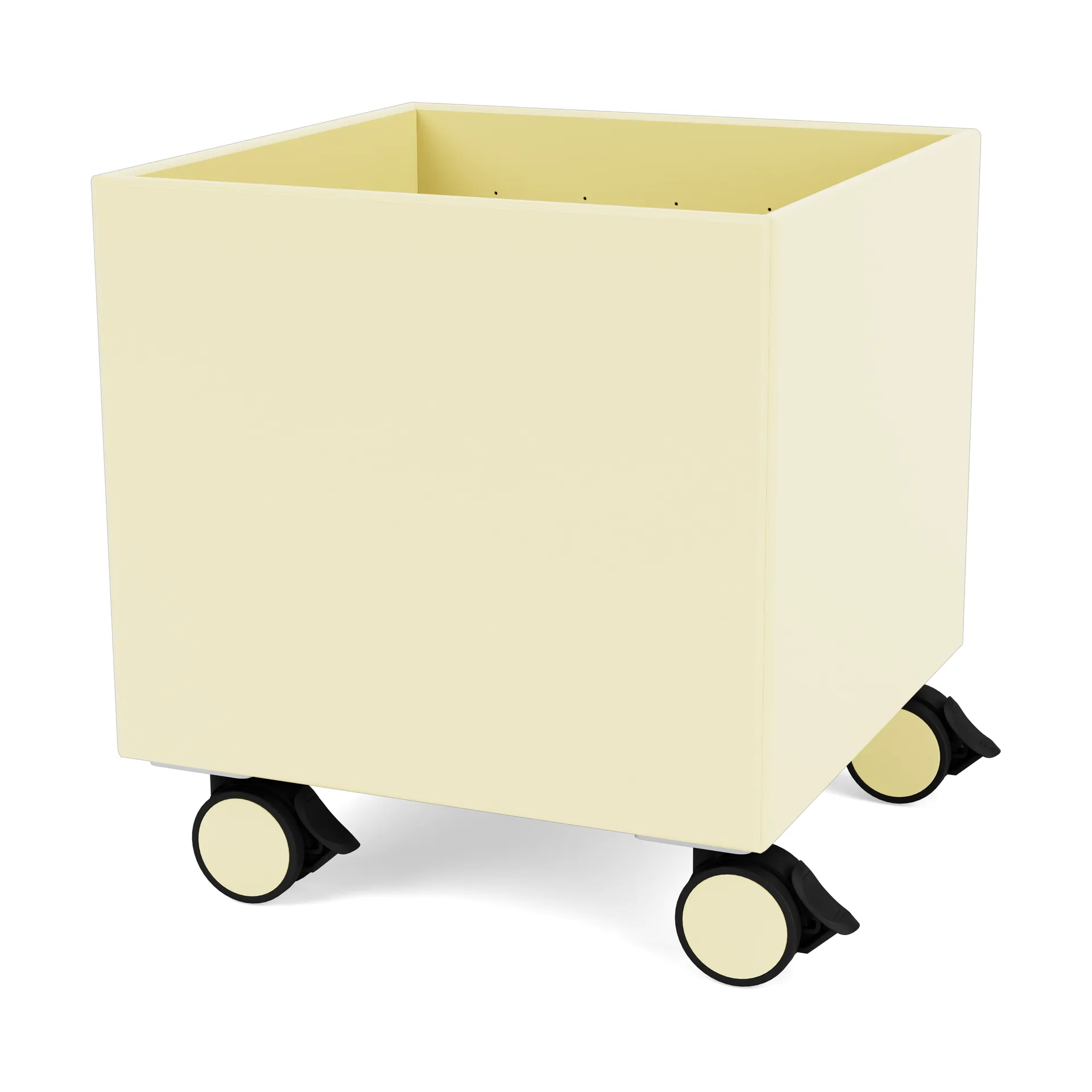 Colour Box I – S6161, Camomile Montana