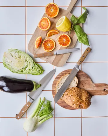 Nicolas Vahé knife set - 4-piece - Nicolas Vahé