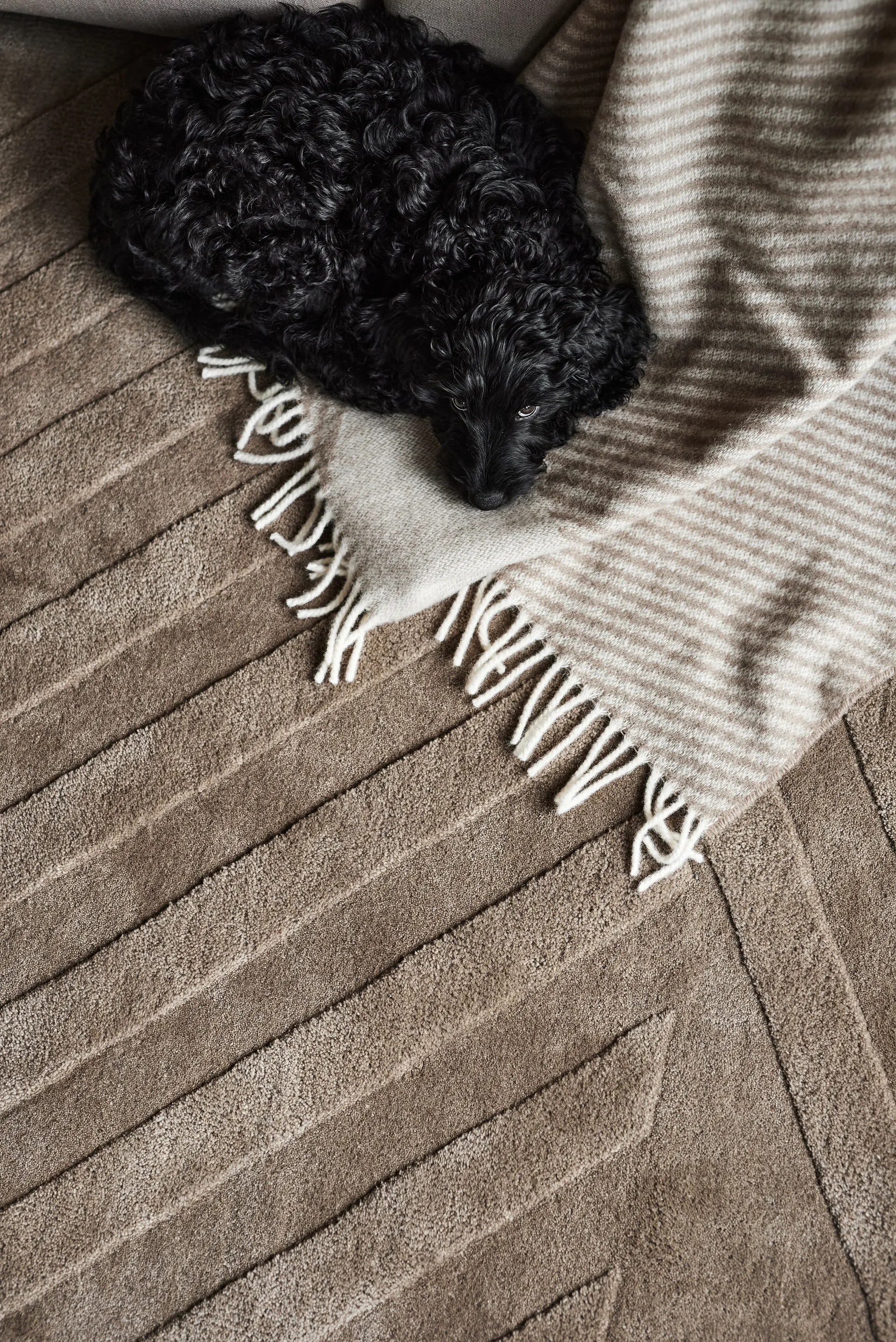 Levels Stripes wool rug, Taupe, 170x240 cm NJRD