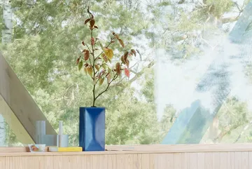 Into vase - Dark blue - Northern