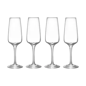 Pulse champagne glass 28 cl 4-pack - Clear - Orrefors