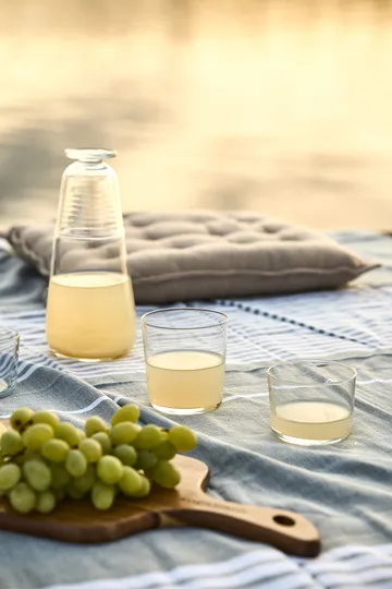 Day to Day drinking glass 22 cl 6-pack - Scandi Living