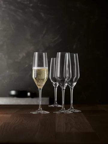 Style champagne glass 4-pack - 24 cl - Spiegelau