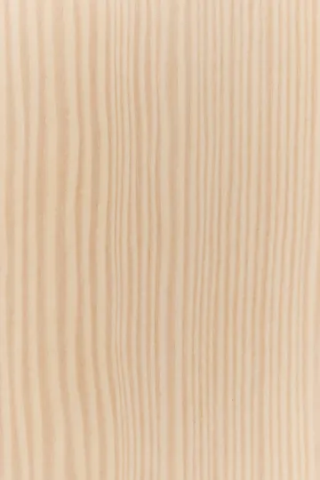 Tree wall wall-mounted coat rack Special Edition 194 cm - White pigmented pine - Swedese
