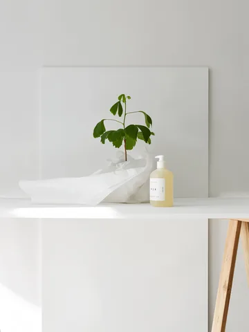 Fir hand soap - 350 ml - Tangent
