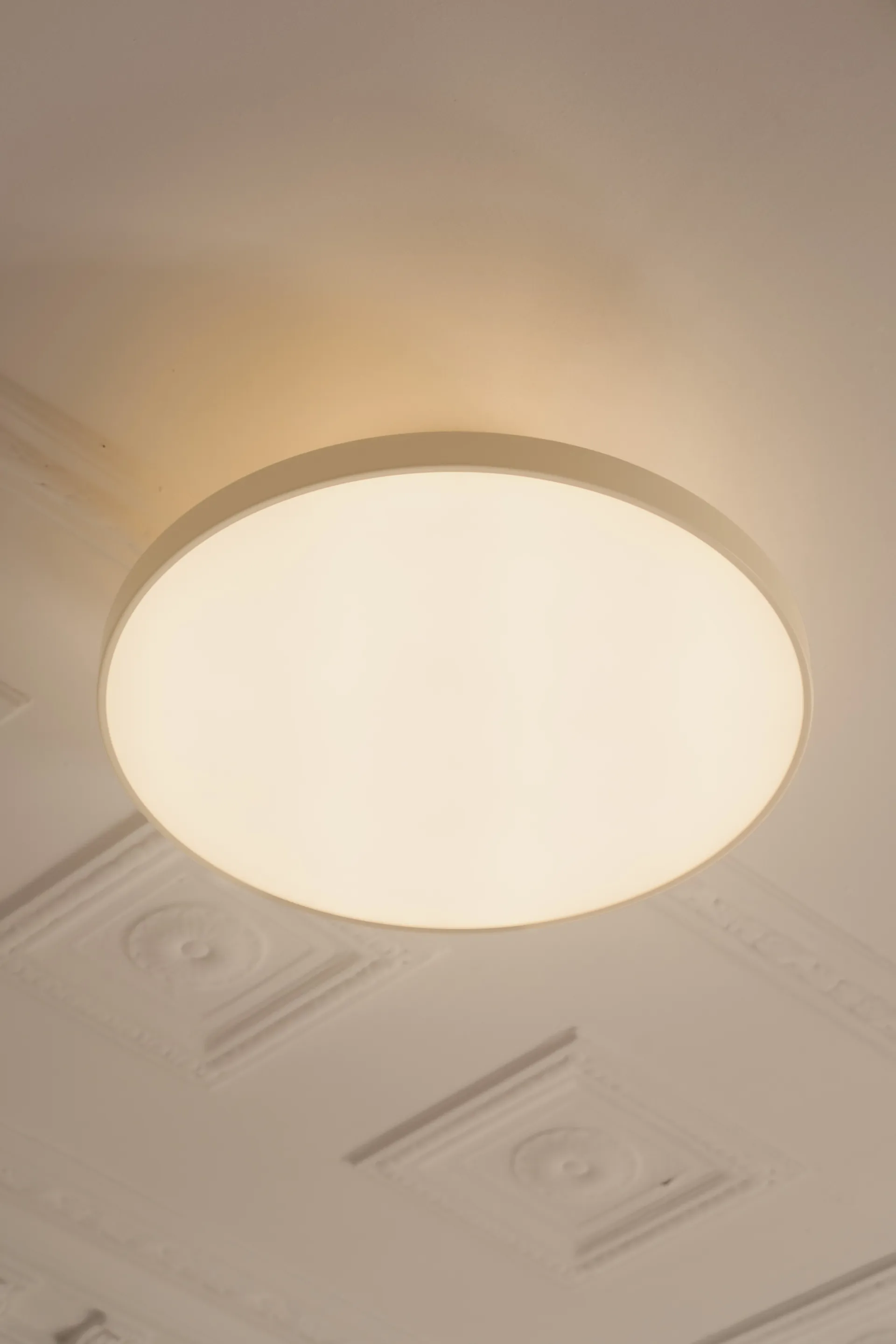Asteria Up plus mini, Anthracite Umage