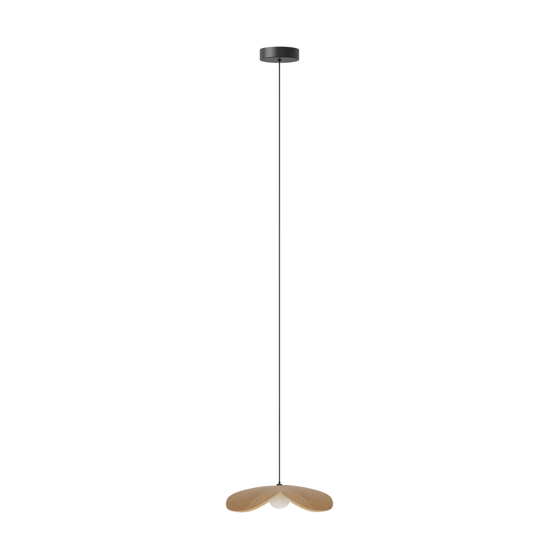 Forget Me Not pendant medium, Oak Umage