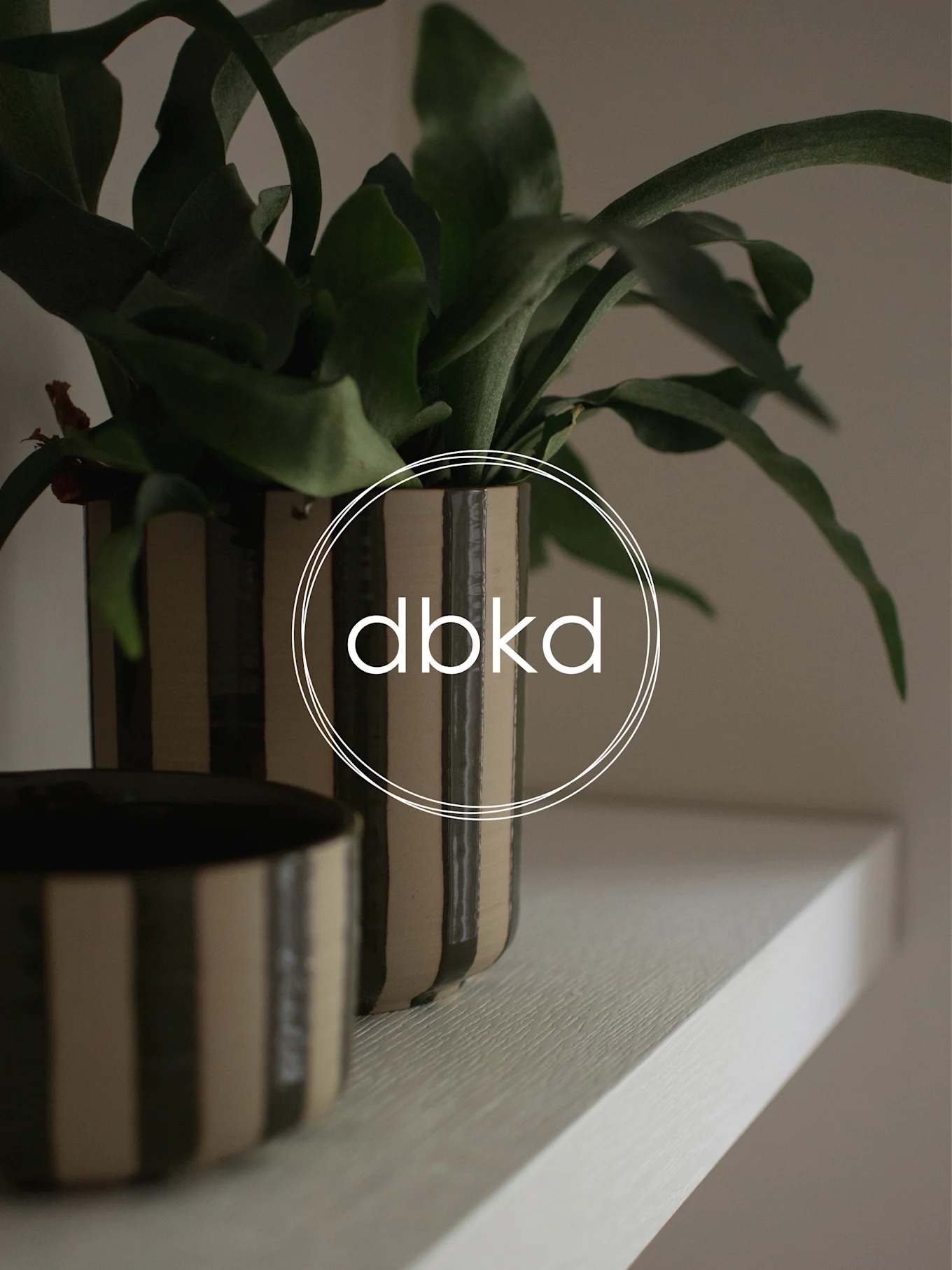 Two ceramic pots with dark and light stripes, one holding a green plant, on a white shelf.