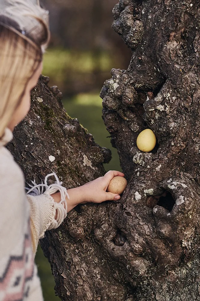 How to organise an egg hunt with clues this Easter - hide eggs in different colours and them around the garden before asking children to find them.
