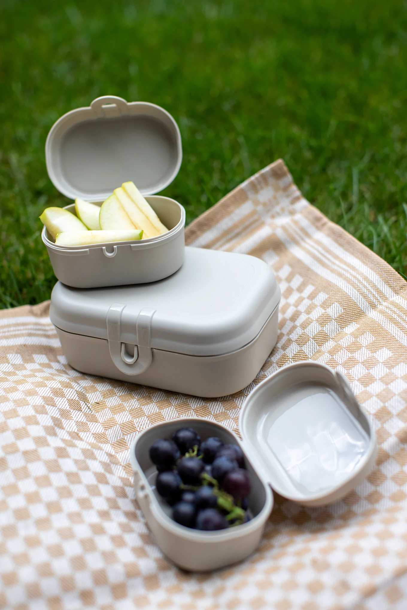 Three light beige lunchboxes with sliced apples and grapes on a checkered picnic blanket on green grass.