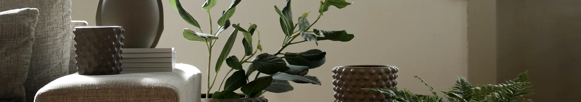 Home decor arrangement with textured armchair, dark brown ceramic vases with raised dot pattern, and green leafy plants against a light beige wall.